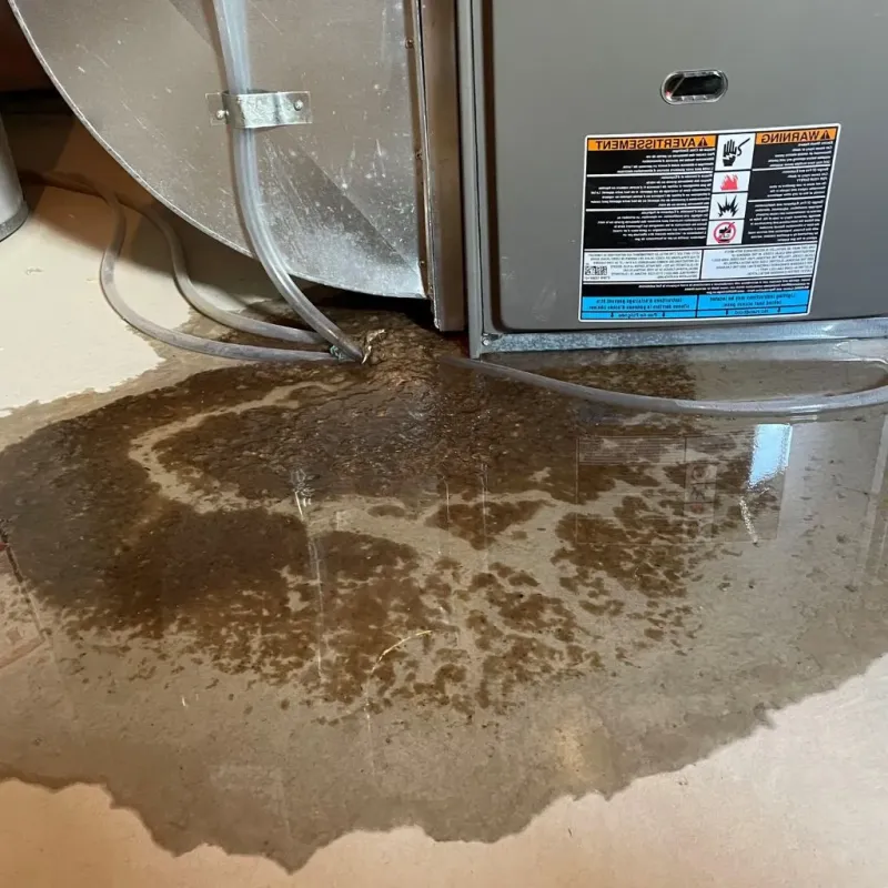 Pipe Burst and Leak Restoration in Chinle, AZ