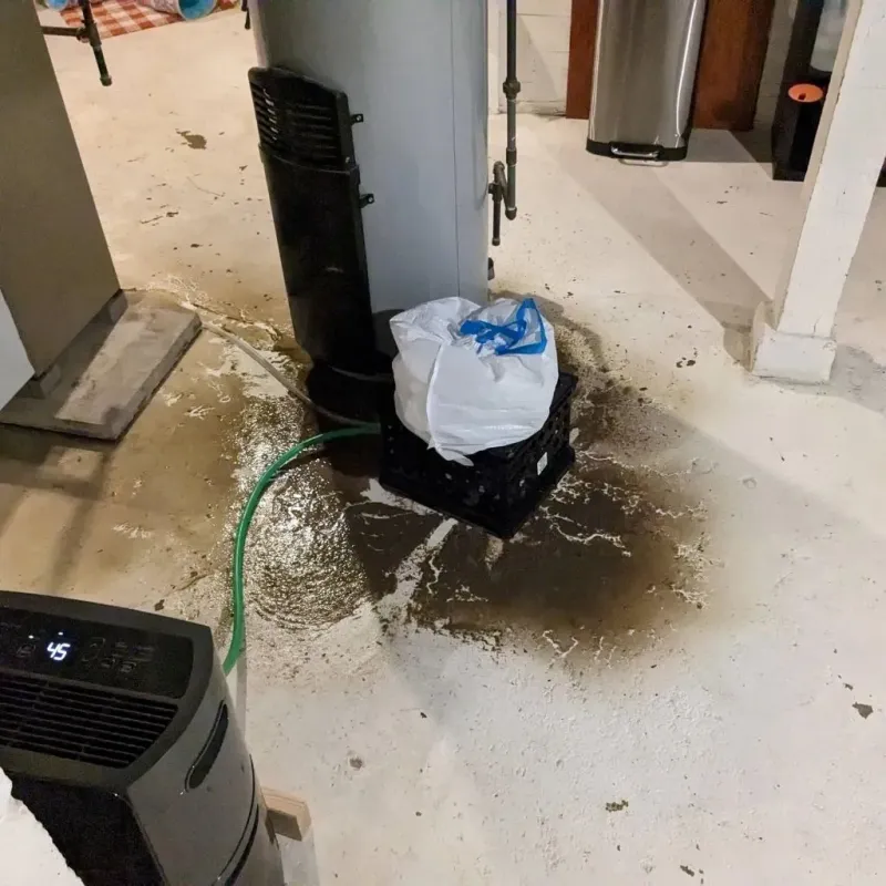 Sewage Backup Cleanup Service in Chinle, AZ